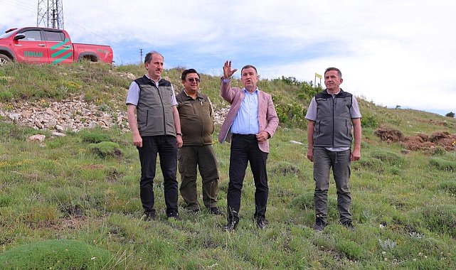 Bayburt'ta bin dekarlık alanda 300 bin fide toprakla buluşturulacak