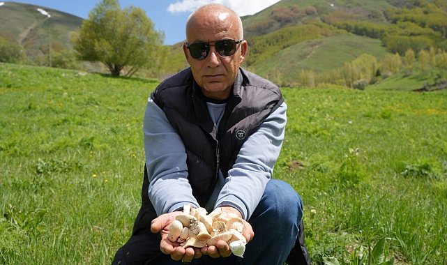 Bayburt'ta protein deposu mantarın ve bin bir derde deva çaşır otunun zorlu mesaisi