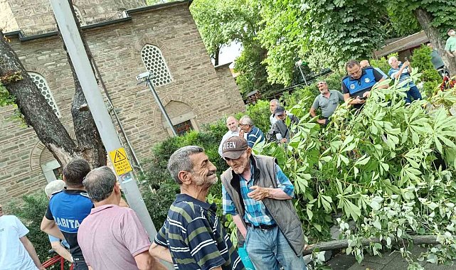 Bayram alışverişi yapanların üzerine ağaç devrildi