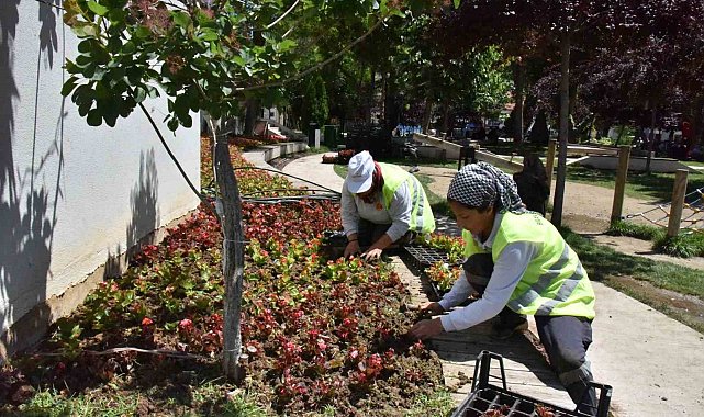Belediye hem kendisi ekiyor hem de kendisi süslüyor