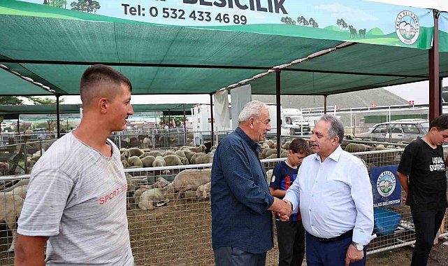 Besiciler Başkan Yalçın'a teşekkür etti: "Bu konfor İstanbul'da yok"