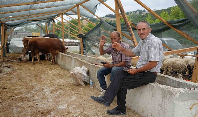 Besiciler bayramda da kurbanlık mesaisinde