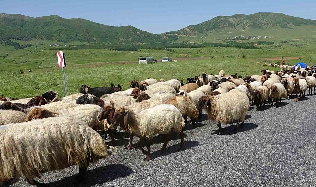 Besicilerin yayla yolculuğu başladı