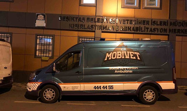 Beşiktaş Belediyesi yangın felaketinin yaşandığı bölgeye hayvan ambulansı gönderdi