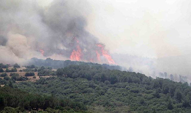 Biçerdöver kaynaklı yangın ormana sıçradı