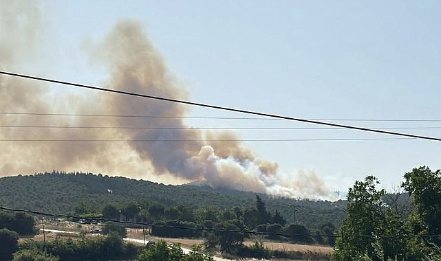 Biga'daki orman yangını kontrol altına alındı