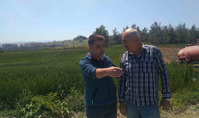 Bilecik'te 'Süne Nimf Sürvey' çalışmaları talimatı verildi