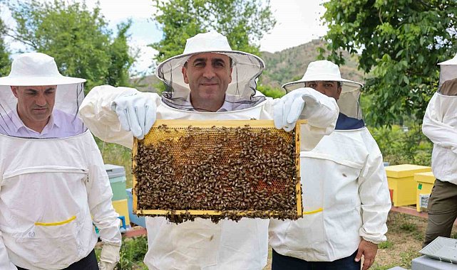 Bilecik'te 'varroa' ile topyekûn mücadele