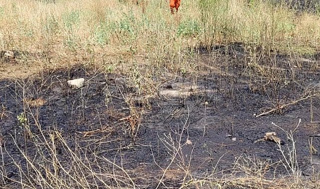Bilecik'te elektrik tellerine çarpan kuş sürüsü yangına sebep oldu