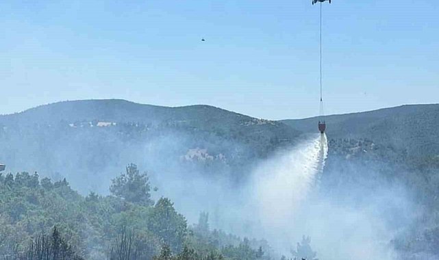 Bilecik'teki orman yangınına hem havadan hem karadan müdahale edildi