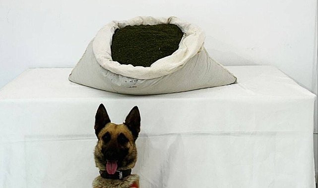 Bingöl'de 3 günde 42 kilo uyuşturucu maddesi ele geçirildi