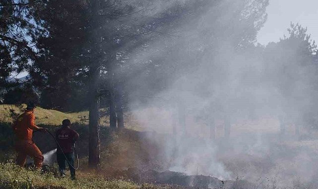 Bingöl'de çamlık alanda çıkan yangın büyümeden söndürüldü