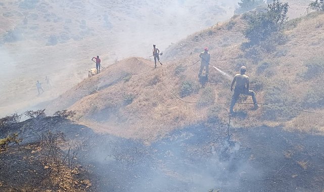 Bingöl'de çıkan orman yangını söndürüldü