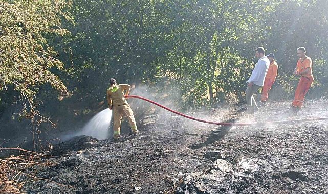 Bingöl'deki orman yangını büyümeden söndürüldü