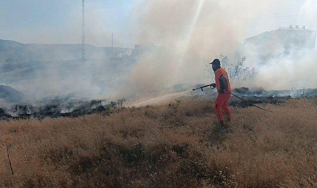 Bingöl'deki yangın ormanlık alana sıçramadan söndürüldü