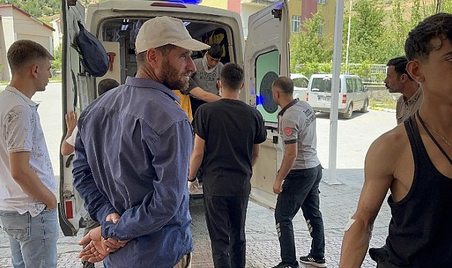 Bitlis'te patpat devrildi: 8 yaralı