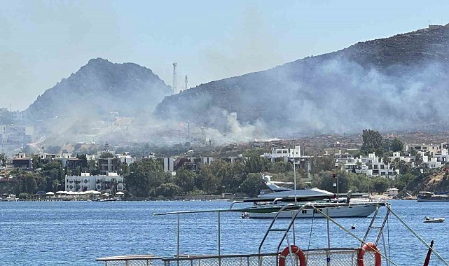 Bodrum'da 2 noktadaki yangın kontrol altına alındı