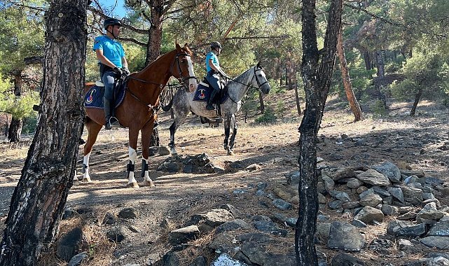 Burdur Valiliği tarafından 15 Haziran- 15 Ekim tarihleri arasında ormanlık alana girişler yasaklandı