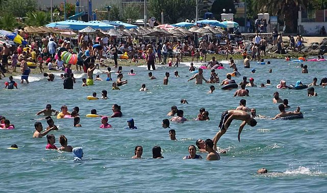 Bursa sahillerinden sevindiren haber