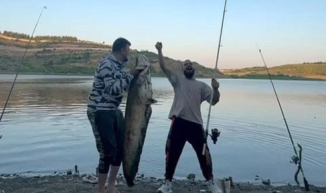 Bursa'da 165 santimetrelik balık tutan iki arkadaşa para cezası
