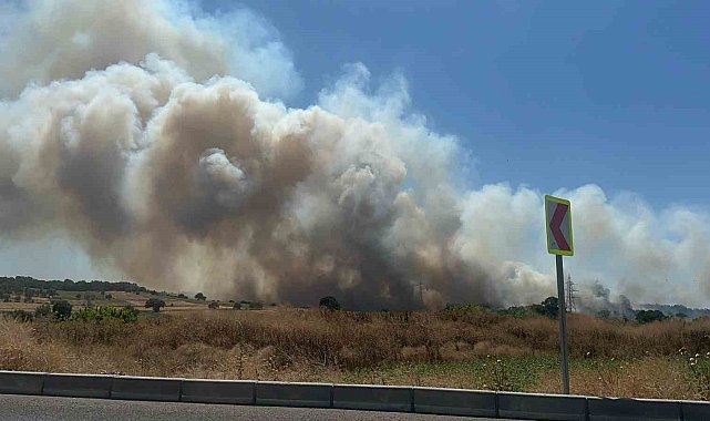 Bursa'da makilik alanda çıkan yangın devam ediyor