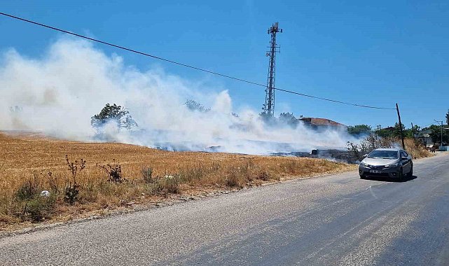 Bursa&#039;da örtü yangını