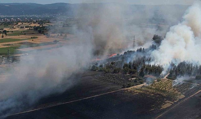 Bursa'daki yangın ormana sıçradı