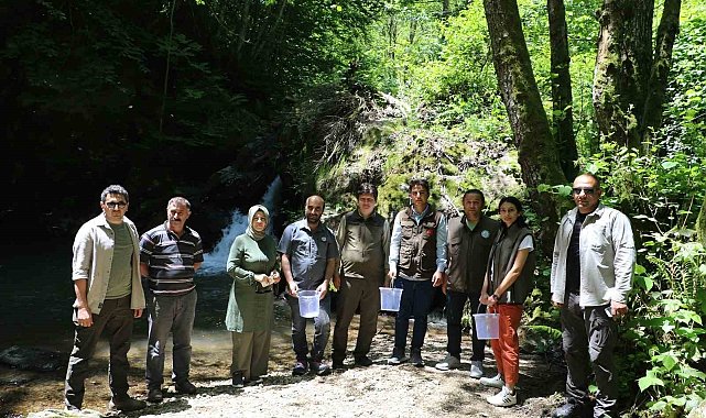 Bursa'nın iç sularına 12 bin alabalık salımı yapıldı