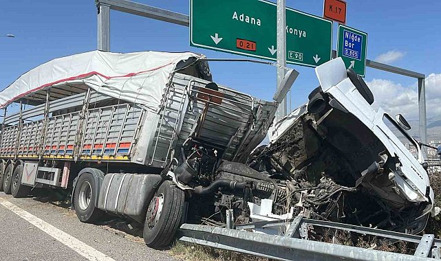 Büyükbaş hayvan yüklü tır devrildi: 2 kişi yaralandı, 7 büyükbaş hayvan telef oldu