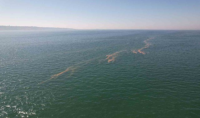 Büyükçekmece&#039;de denizde alg patlaması yaşandı, denizin rengi kızıllaştı