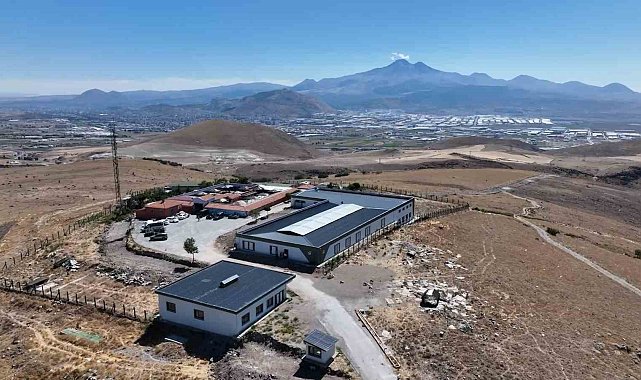 Büyükşehir 25 bin sokak hayvanına sahip çıktı