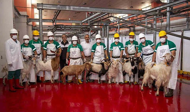 Büyükşehir belediyesi şehitler anısına kurban kesti