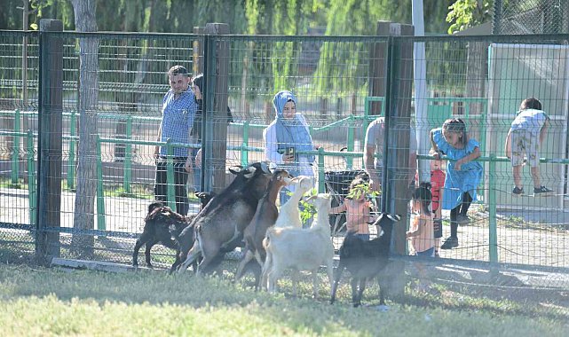 Büyükşehir Hayvanat Bahçesi'nin misafirlerine bayramda ziyaretçi akını