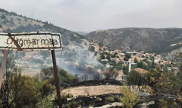 Çal'daki orman yangını kontrol altına alındı