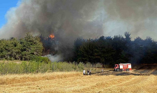 Çanakkale Valiliğinden yangın açıklaması