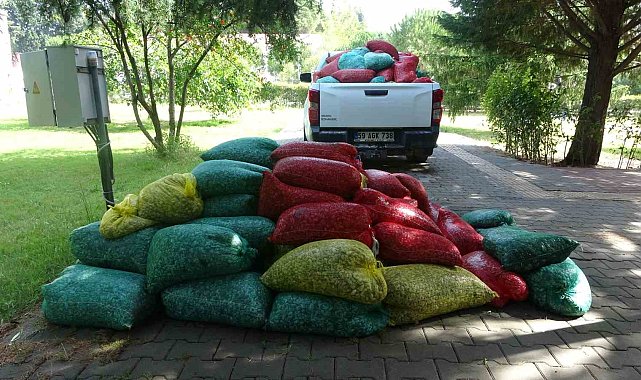 Çanakkale'de 3 ton kum şırlanı ele geçirildi