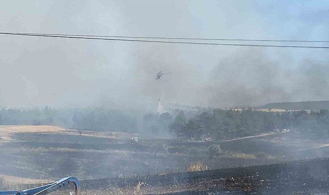 Çanakkale'de 5 dönüm orman, 11 dönüm tarım arazisi zarar gördü