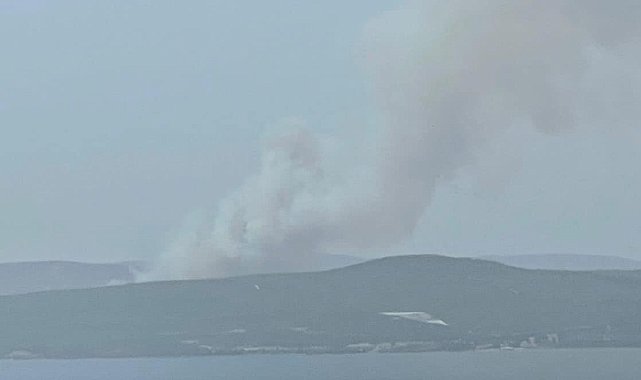 Çanakkale'de orman yangını