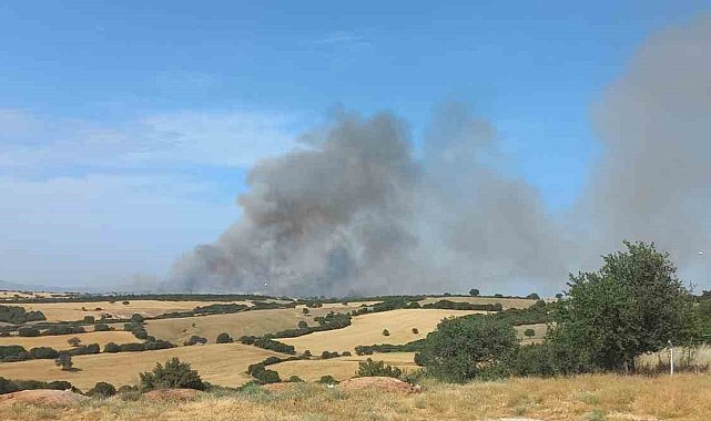 Çanakkale'de orman yangınına müdahale ediliyor