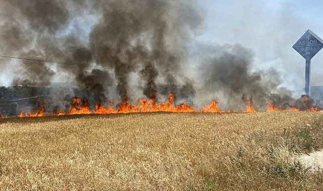 Çanakkale'de tarım alanında başlayan yangın ormanlık alana ilerliyor