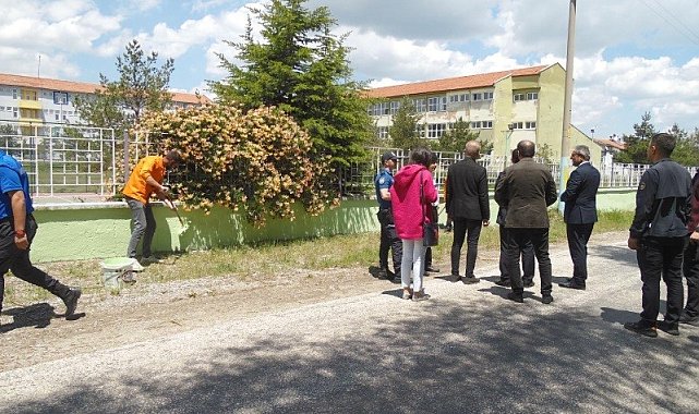 Çankırı'da hükümlüler okulları yeniliyor