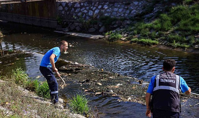 Çark Deresi'ndeki temizlik çalışmaları sıklaştırıldı