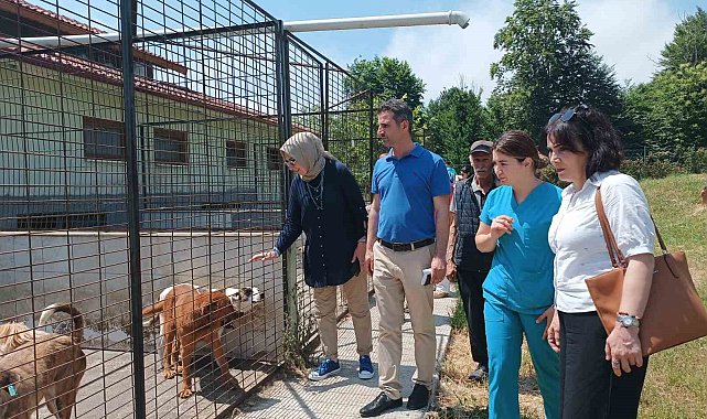 CHP heyetinden hayvan konukevine tam not