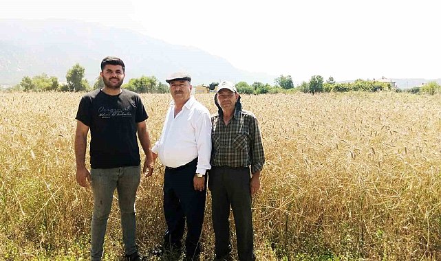 Çiftçi buğday fiyatlarının açıklanmasını bekliyor