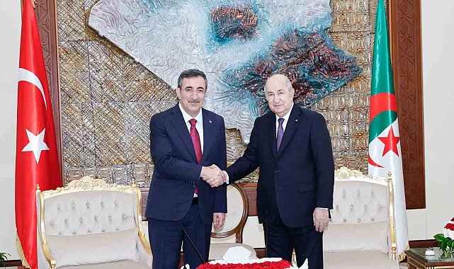 Cumhurbaşkanı Yardımcısı Yılmaz, Cezayir Cumhurbaşkanı Abdülmecid Tebbun bir araya geldi