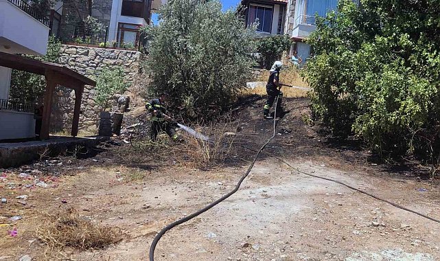 Datça'da mahalle ortasında korkutan yangın