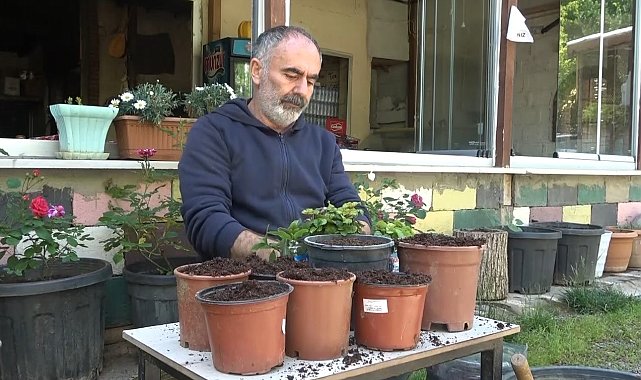 Dem atıkları çiçeklere can verdi