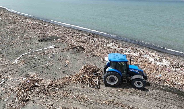 Deniz kaplumbağaların üreme merkezinde hummalı temizlik