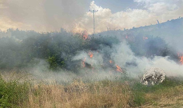 Denizli'de 1 günde 10 orman yangını çıktı
