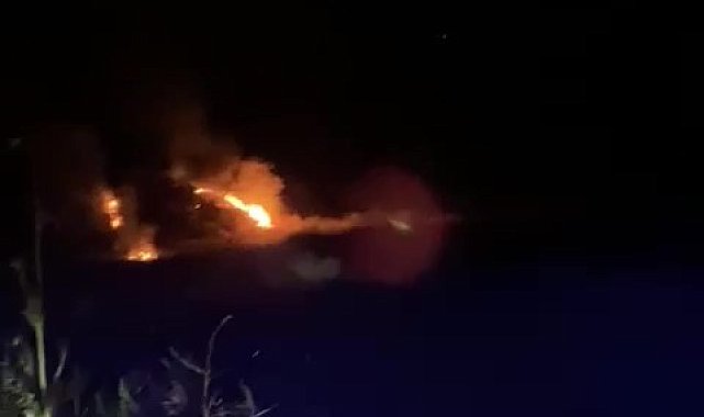 Denizli'de orman yangını kısa sürede söndürüldü